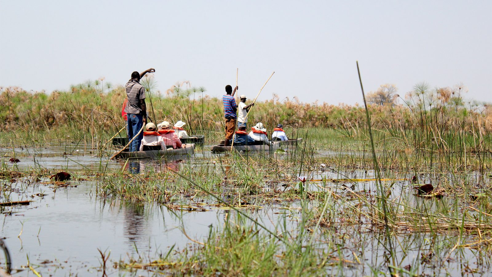 Mokoro / Canoe