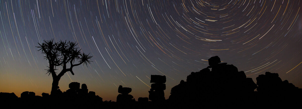 Starry Sky, Quiver Tree Forest