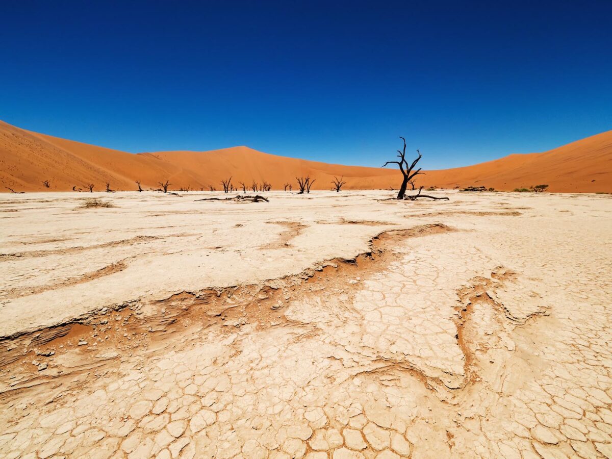 Deadvlei