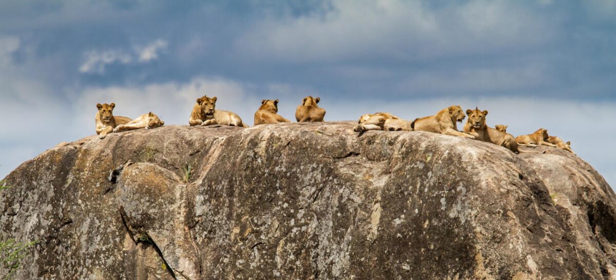 Serengeti National Park
