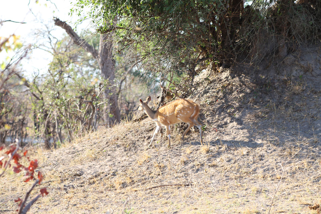 Bwabwata National Park