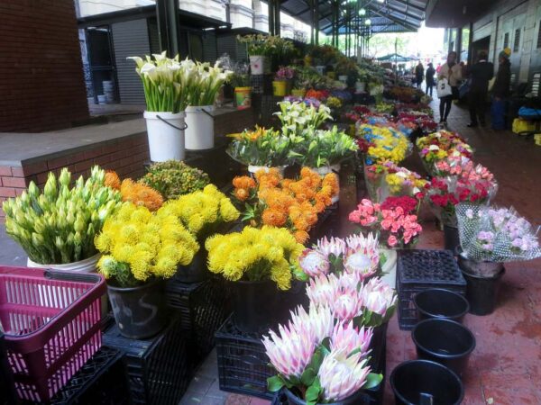 Cape Town Flower Market