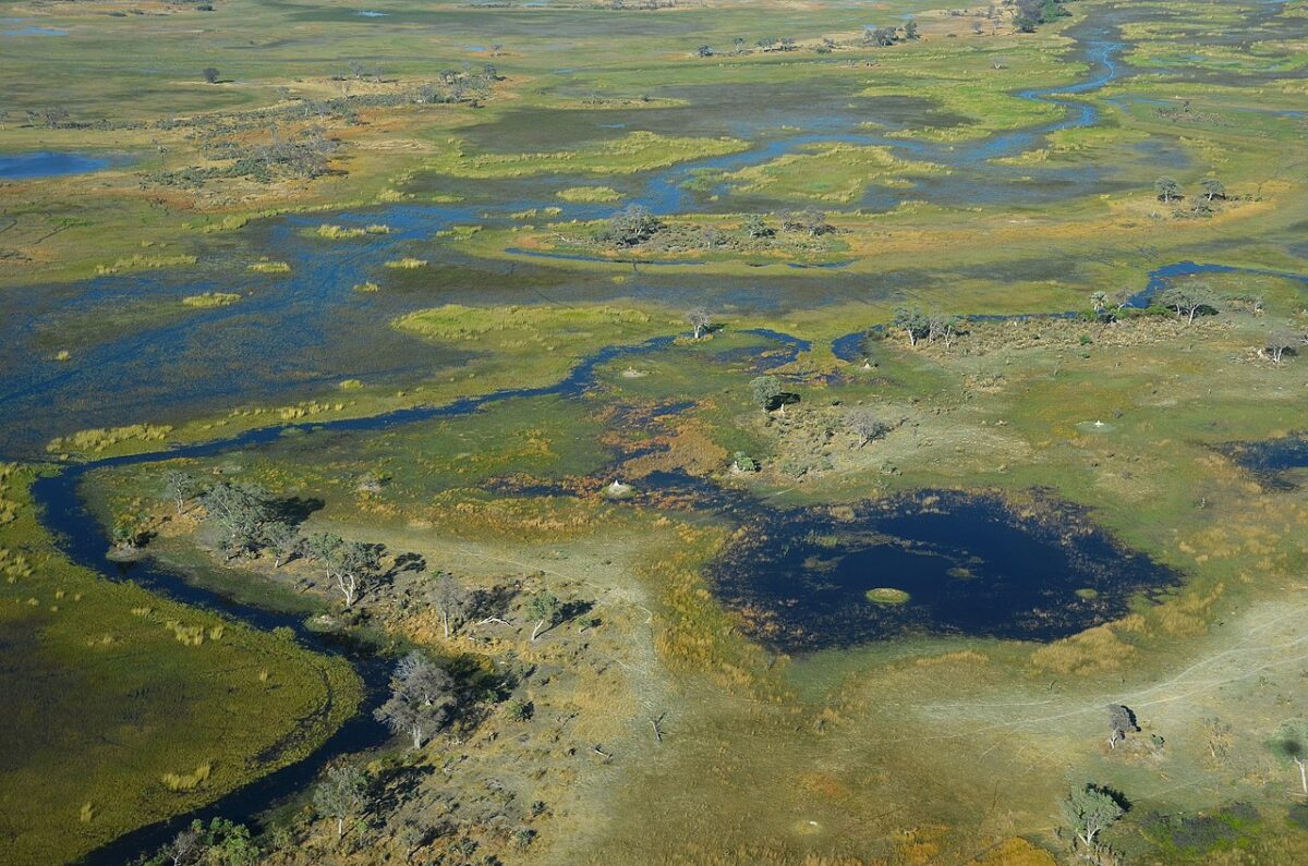 Ngamiland East Botswana