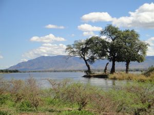 Zambezi River at Mana Pools