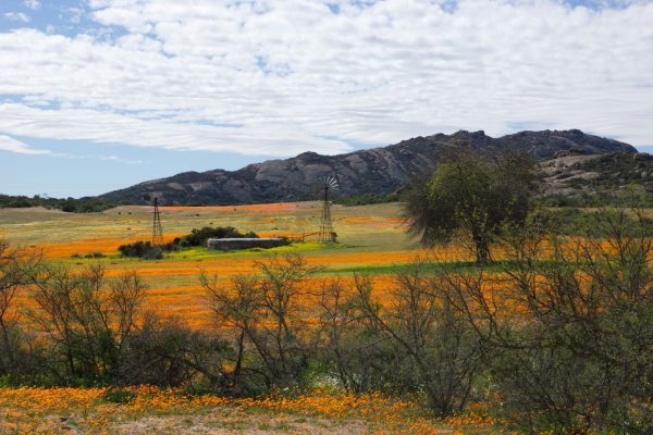 Namaqualand Scenery