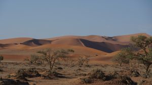 Sossusvlei Landscape