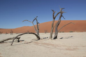 Deadvlei