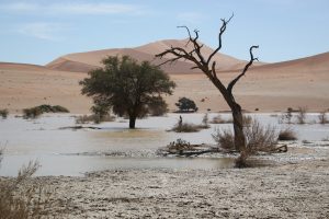 Sossusvlei after rain