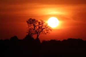 African Sunset