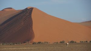 Dune 45