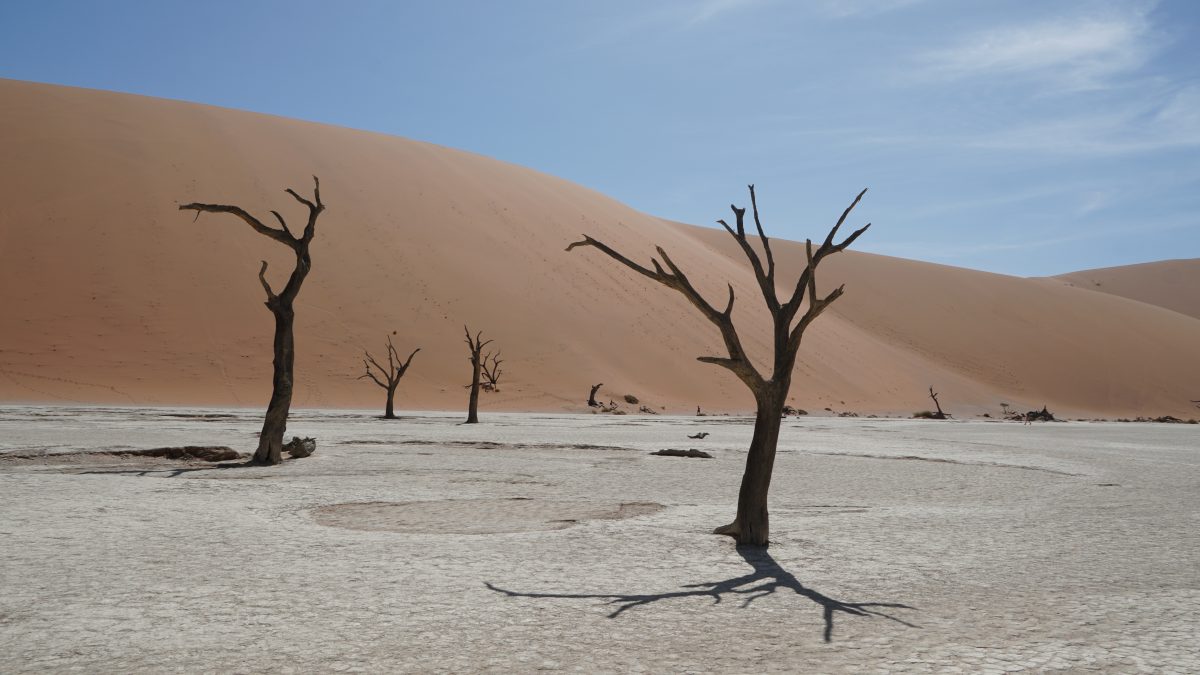 Deadvlei