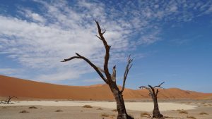 Deadvlei