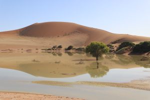 Sossusvlei after rain