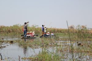 Mokoro Ride