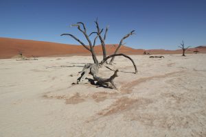 Deadvlei