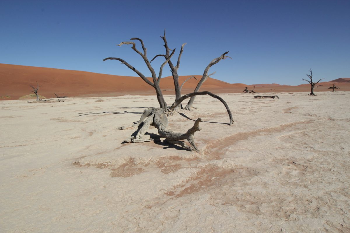 Deadvlei