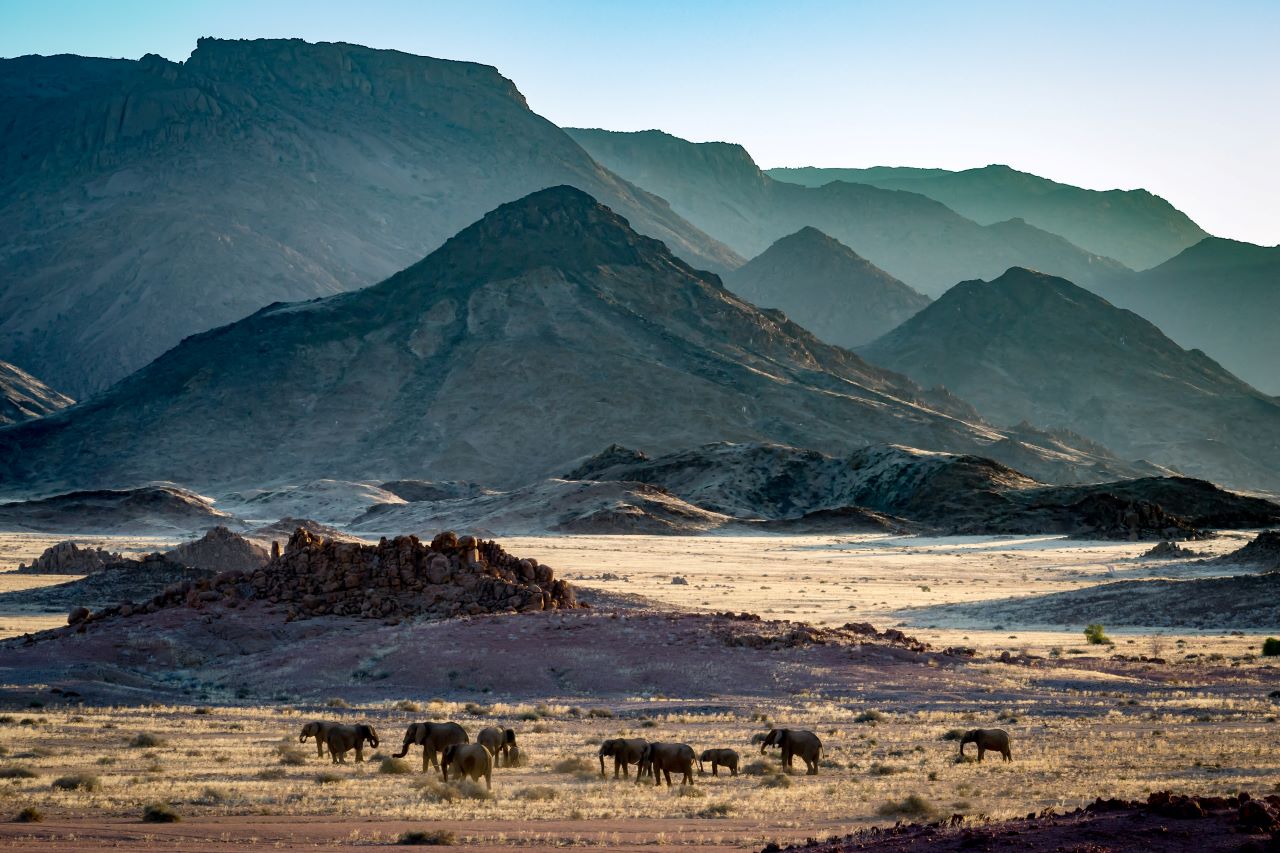 Burnt Mountain & Desert Elephants