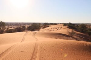 Kalahari Desert Dirt Track