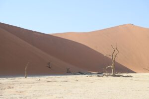 Big Daddy, Deadvlei