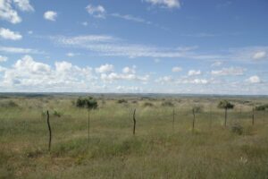 Komashochland Scenery