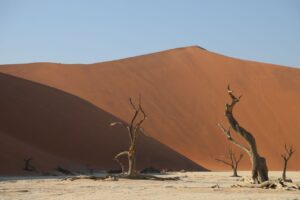 Big Daddy, Deadvlei