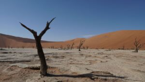 Deadvlei
