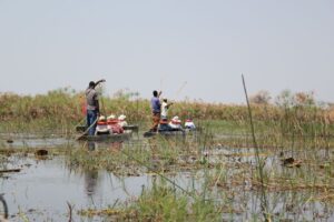 Traditional Mokoro Ride